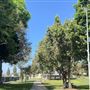 Anderson Park - City of Carson