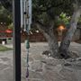 Sycamore Avenue Home