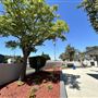 Stevenson Park - City of Carson
