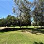 Hemingway Park - City of Carson