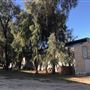 Bracaccini Ranch Property - 50 acres open field / Ranch House / Barns