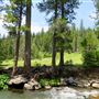Butte Meadows