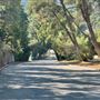 Commonwealth Canyon Drive, Vista Del Valle Drive - Vermont Canyon Road