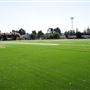 Occidental College - Oxy