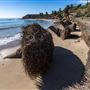 Refugio State Beach (SB)