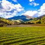 City of Calistoga