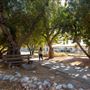Occidental College - Oxy