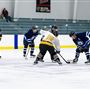 LA Kings Ice Burbank (Pickwick)