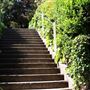 Filbert Steps