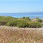 El Pescador State Beach @ Robert H. Meyer Memorial State Beach (SB) - CFC