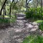 Descanso Gardens