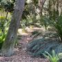 Descanso Gardens