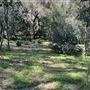Descanso Gardens
