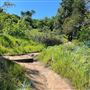 Descanso Gardens