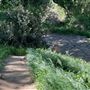 Descanso Gardens