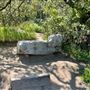 Descanso Gardens
