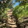 Descanso Gardens