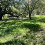 Descanso Gardens