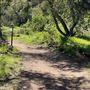 Descanso Gardens