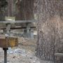 Crystal Lake Recreation Area / Campground - Angeles National Forest