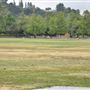 Rose Bowl Stadium
