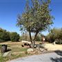Rio de Los Angeles State Park (SP) - Taylor Yard - Inter Agency - LA City Parks & CA State Parks