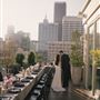 Savanna Rooftop