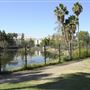 La Brea Tar Pits - George Page Museum