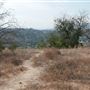 Ernest E. Debs Regional Park