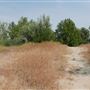 Ernest E. Debs Regional Park