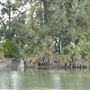 Ernest E. Debs Regional Park