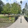 La Brea Tar Pits - George Page Museum