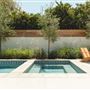 Newport Beach House