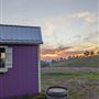 California Lavender Honey Farm