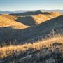 Panoche Hills - BLM
