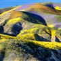 Carrizo Plain National Monument