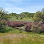 Cache Creek Wilderness