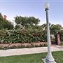 Hancock Park Neighborhood
