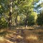 The Painted Turtle Camp