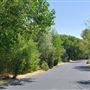 The Painted Turtle Camp