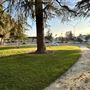 Fresno City College (FCC)