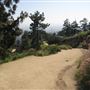Griffith Observatory - Griffith Park