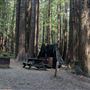 Humboldt Redwoods State Park (SP)