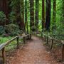 Richardson Grove State Park (SP)