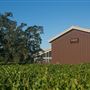 Olivet Grange Vineyard