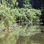 Los Angeles County Arboretum
