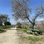 Peck Road Water Conservation Park