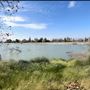 Peck Road Water Conservation Park