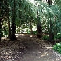 Los Angeles County Arboretum