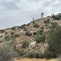 Bufford Ranch, managed by Golden Ranch Estates